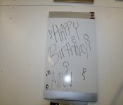 AmyBirthday2010  124